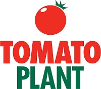 The Tomato Plant Company Limited 244456 Image 6